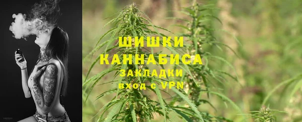 ГАЛЛЮЦИНОГЕННЫЕ ГРИБЫ Покачи