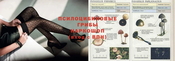 бошки Покров