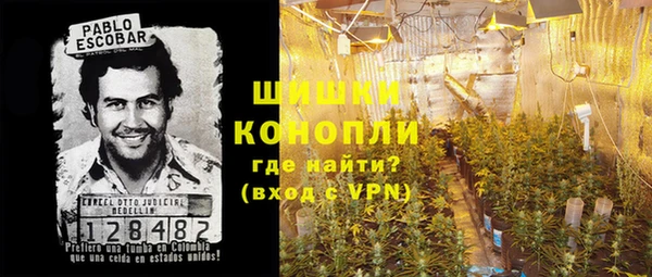 ГАЛЛЮЦИНОГЕННЫЕ ГРИБЫ Покачи