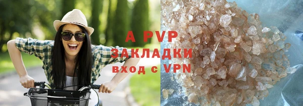 ГАЛЛЮЦИНОГЕННЫЕ ГРИБЫ Покачи