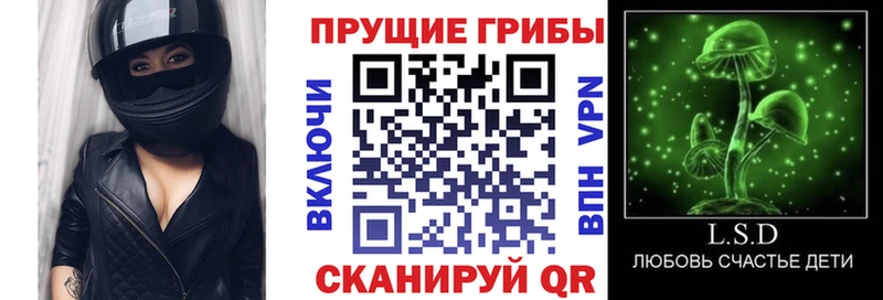 Галлюциногенные грибы мухоморы Купить Павловская